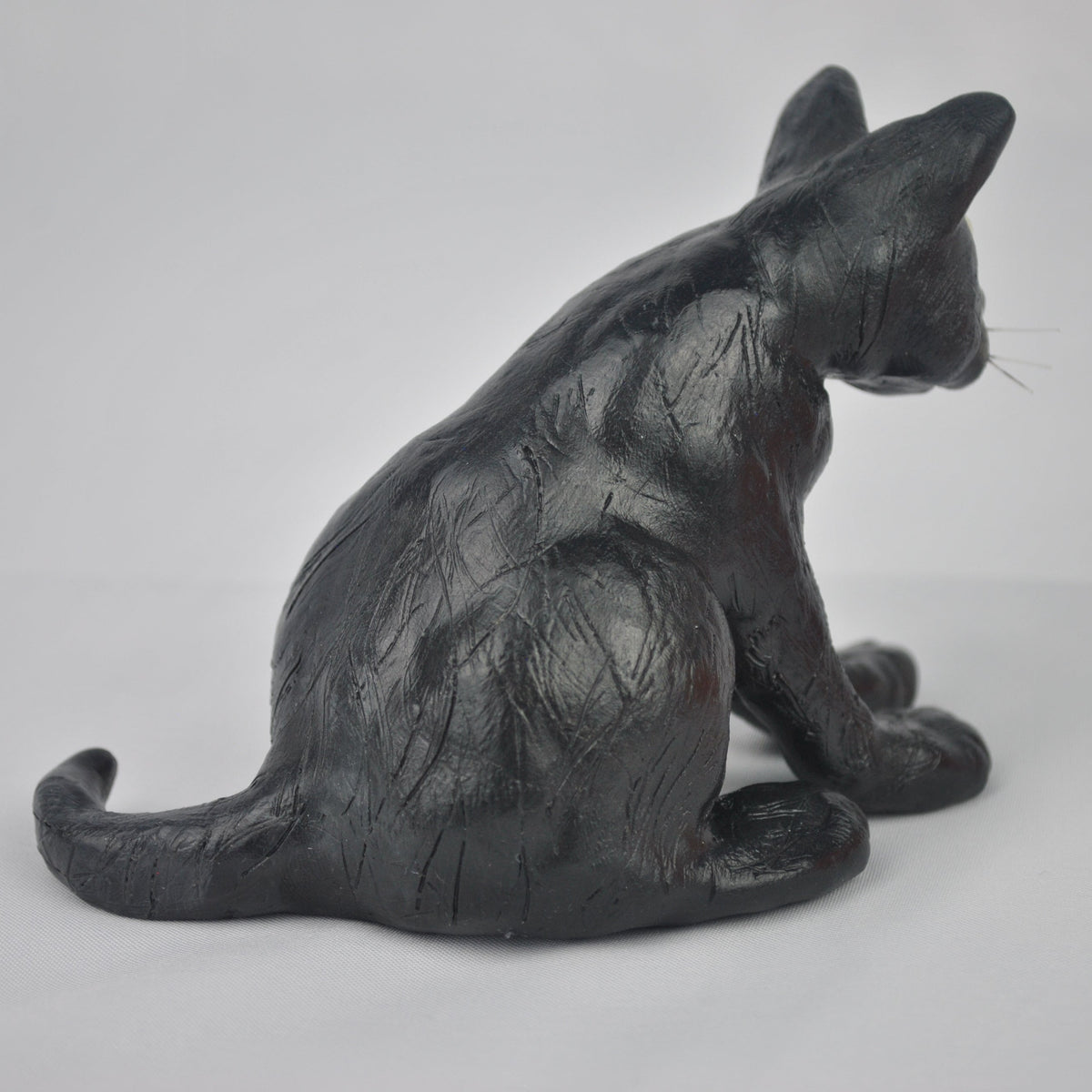 Black Cat