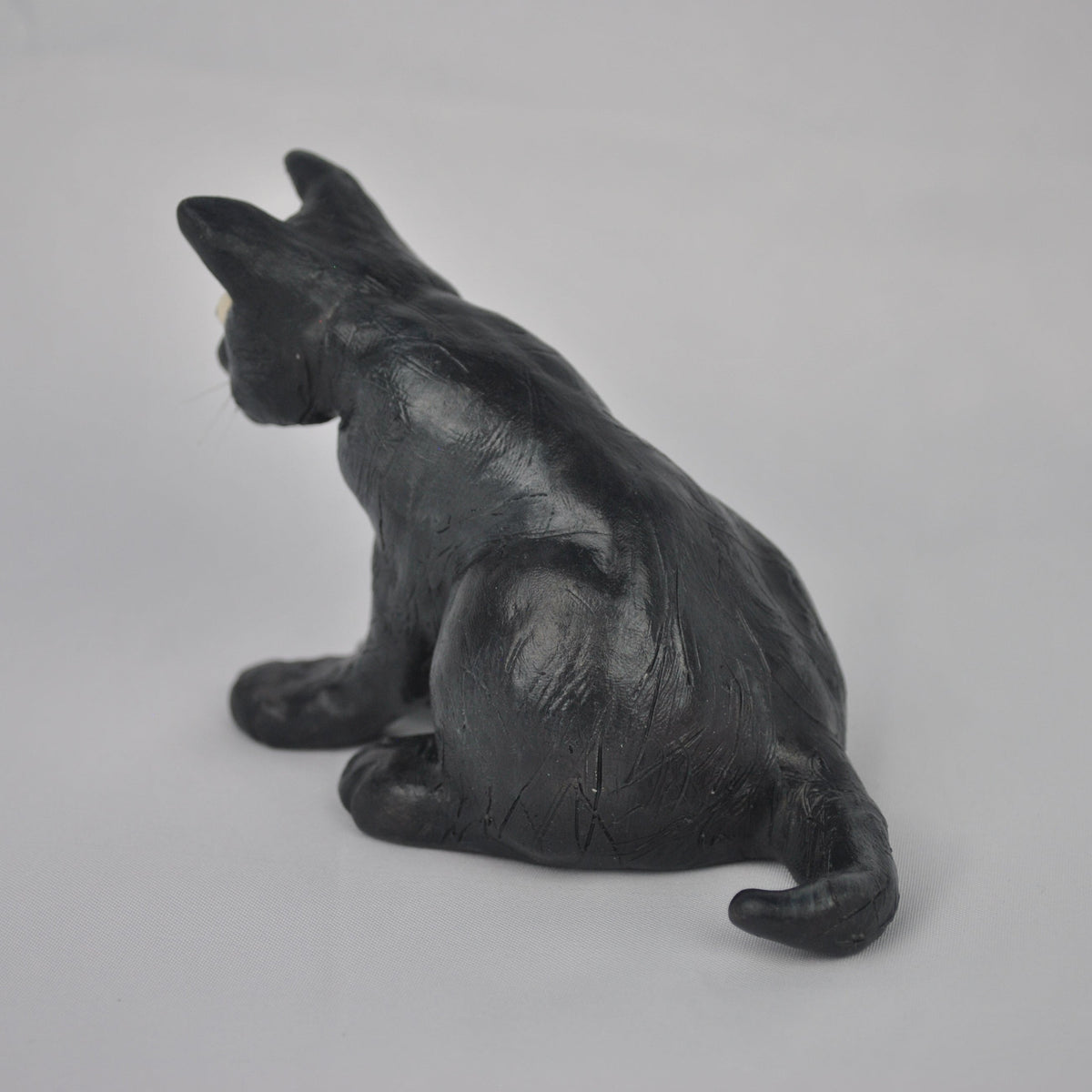 Black Cat