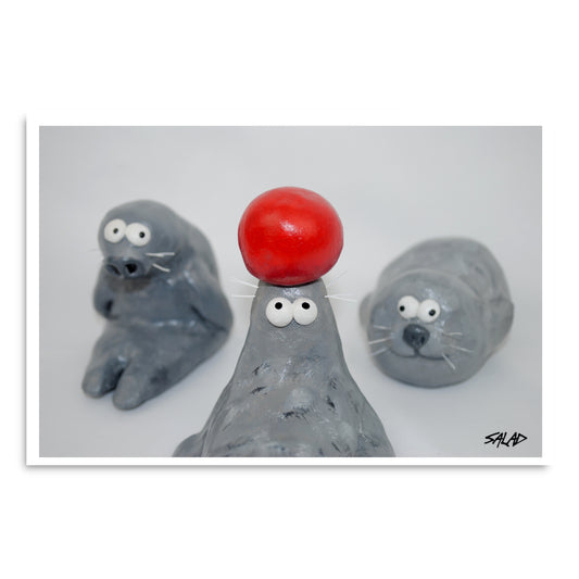 Seals Print